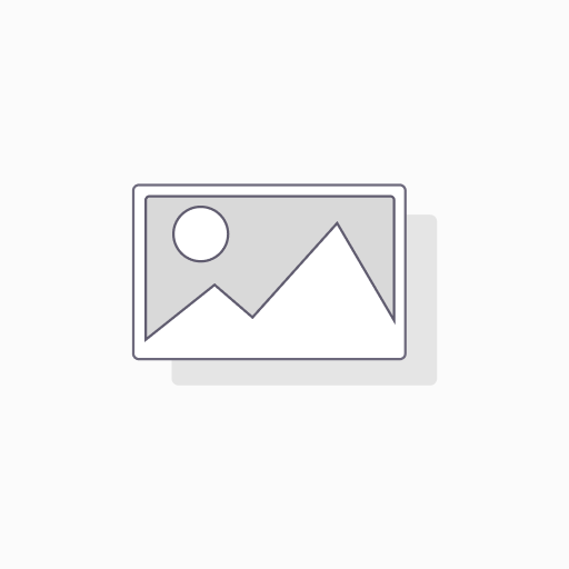 Projects Module